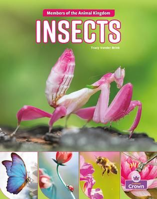 Produktbild: Insects