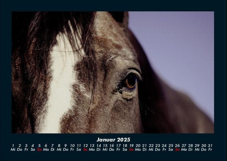 Produktbild: Pferdegefl&uuml;ster 2025 Fotokalender DIN A4