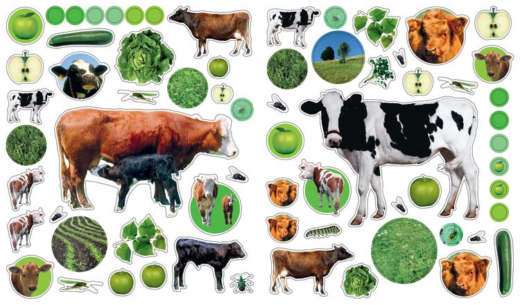 Produktbild: EyeLike Stickers: On the Farm