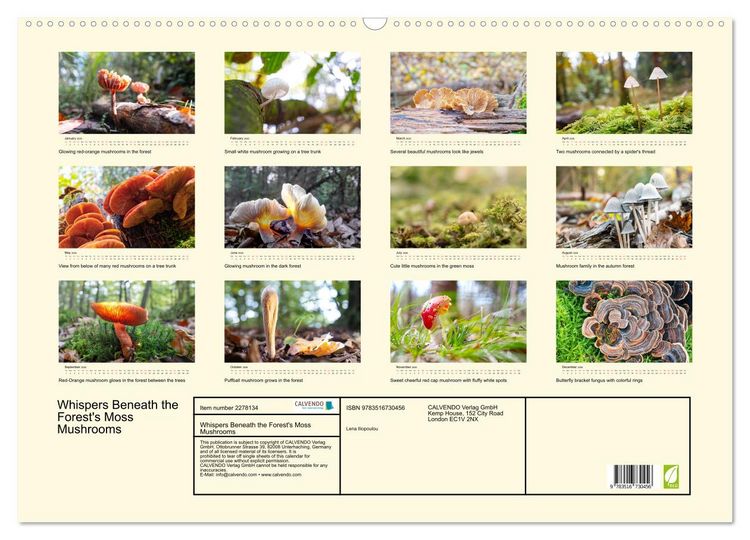 Produktbild: Whispers Beneath the Forest's Moss Mushrooms (Wall Calendar 2026 DIN A2 landscape), CALVENDO 12 Month Wall Calendar