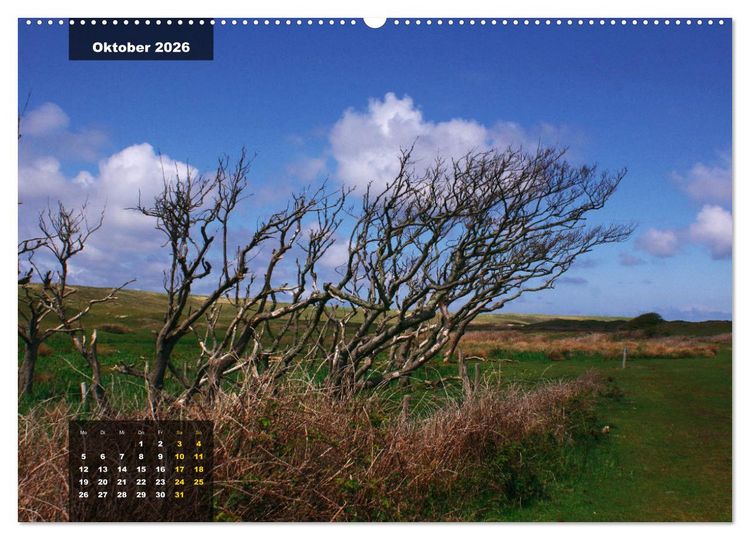 Produktbild: Texel Insel mit Charakter (hochwertiger Premium Wandkalender 2026 DIN A2 quer), Kunstdruck in Hochglanz