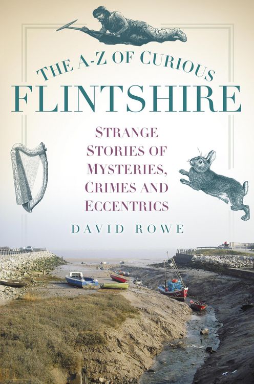 Produktbild: The A-Z of Curious Flintshire