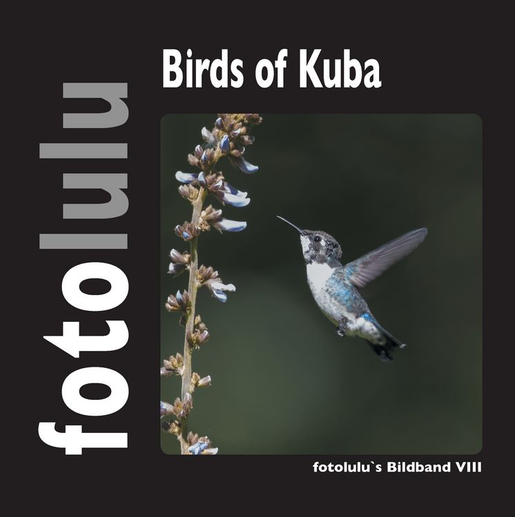 Produktbild: Birds of Kuba