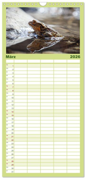 Produktbild: Familienplaner 2026 - Naturparadies Allg&auml;u - Von Oberstdorf bis F&uuml;ssen mit 5 Spalten (Wandkalender, 21 x 45 cm) CALVENDO