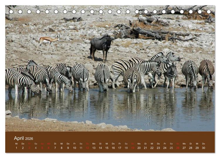 Produktbild: Namibia - faszinierende Menschen und Tiere (Tischkalender 2026 DIN A5 quer), CALVENDO Monatskalender