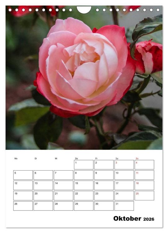 Produktbild: Zauberhafte Rosen (Wandkalender 2026 DIN A4 hoch), CALVENDO Monatskalender