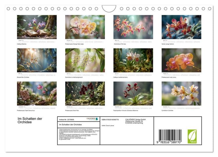 Produktbild: Im Schatten der Orchidee (Wandkalender 2026 DIN A4 quer), CALVENDO Monatskalender