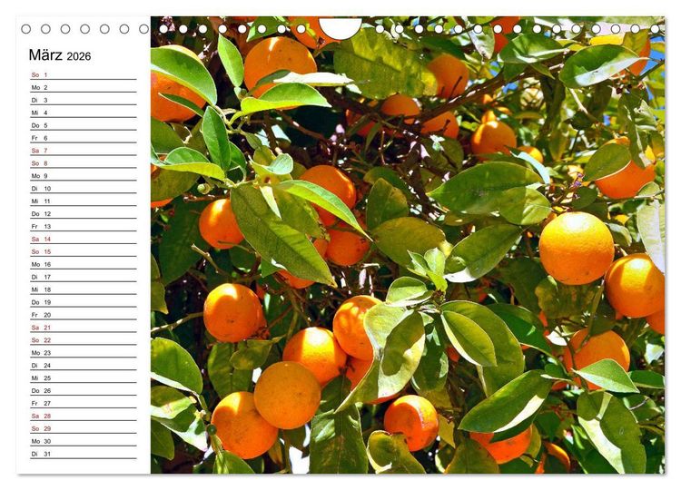 Produktbild: Griechische Insel Kos (Wandkalender 2026 DIN A4 quer), CALVENDO Monatskalender