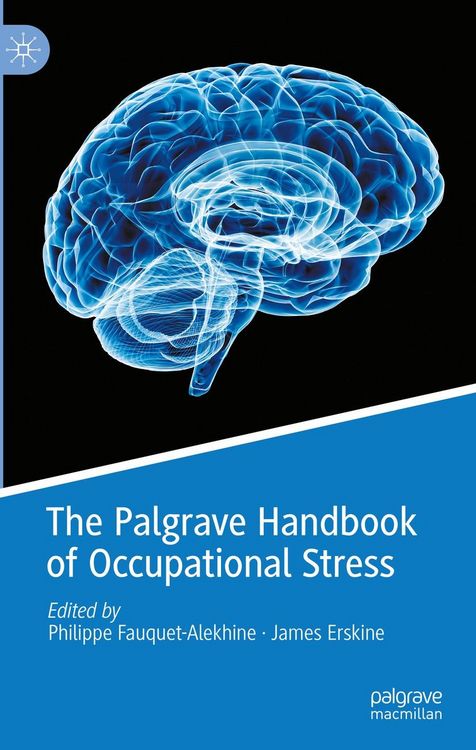 Produktbild: The Palgrave Handbook of Occupational Stress