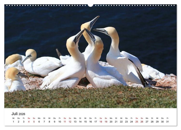 Produktbild: Deutsche Hochseeinsel Helgoland (hochwertiger Premium Wandkalender 2026 DIN A2 quer), Kunstdruck in Hochglanz