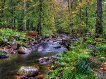 Produktbild: CALVENDO Puzzle Elendtal bei Schierke | 1000 Teile Lege-Gr&ouml;&szlig;e 64x48cm Foto-Puzzle f&uuml;r gl&uuml;ckliche Stunden