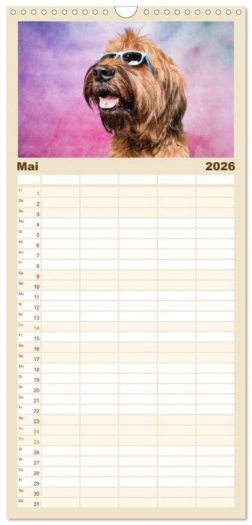 Produktbild: Familienplaner 2026 - Cool Dogs - Hunde-Spa&szlig; im Studio mit 5 Spalten (Wandkalender, 21 x 45 cm) CALVENDO