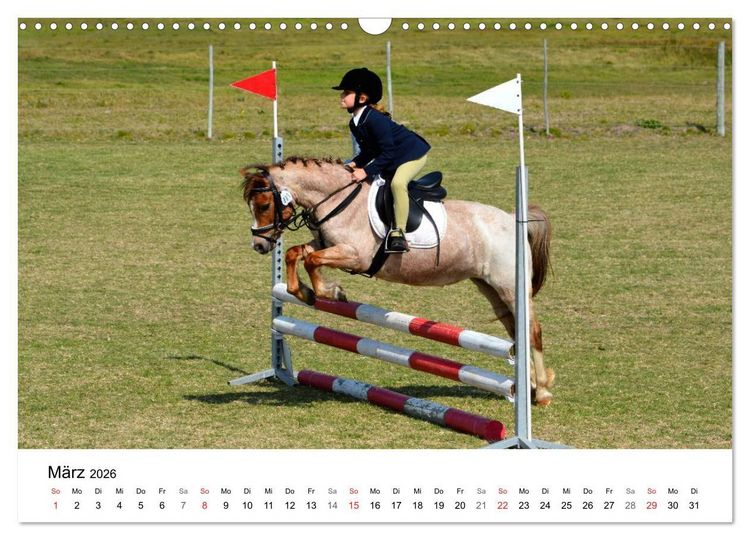 Produktbild: Eventing - Der ultimative Reitsport (Wandkalender 2026 DIN A3 quer), CALVENDO Monatskalender