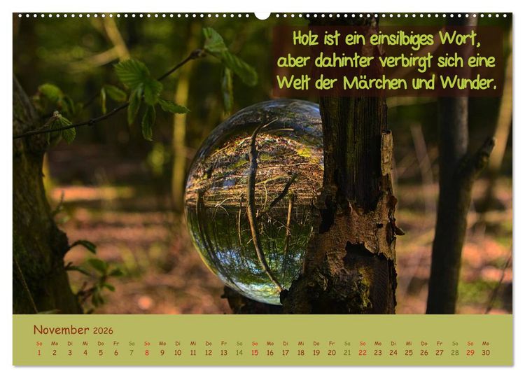 Produktbild: Wunderbare Waldkugeln (hochwertiger Premium Wandkalender 2026 DIN A2 quer), Kunstdruck in Hochglanz