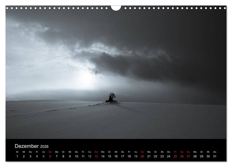 Produktbild: B&auml;ume trees 2026 (Wandkalender 2026 DIN A3 quer), CALVENDO Monatskalender