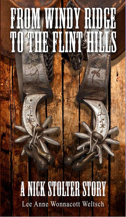 Produktbild: From Windy Ridge to the Flint Hills