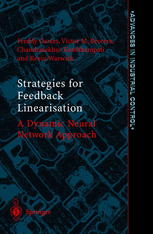 Produktbild: Strategies for Feedback Linearisation
