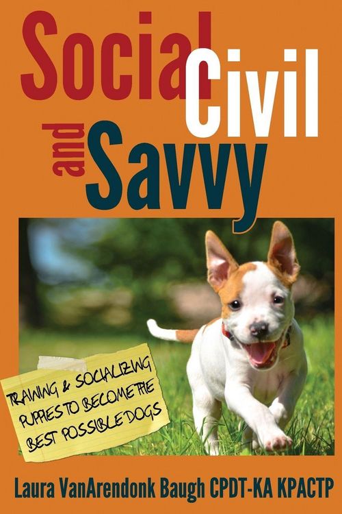 Produktbild: Social, Civil, and Savvy