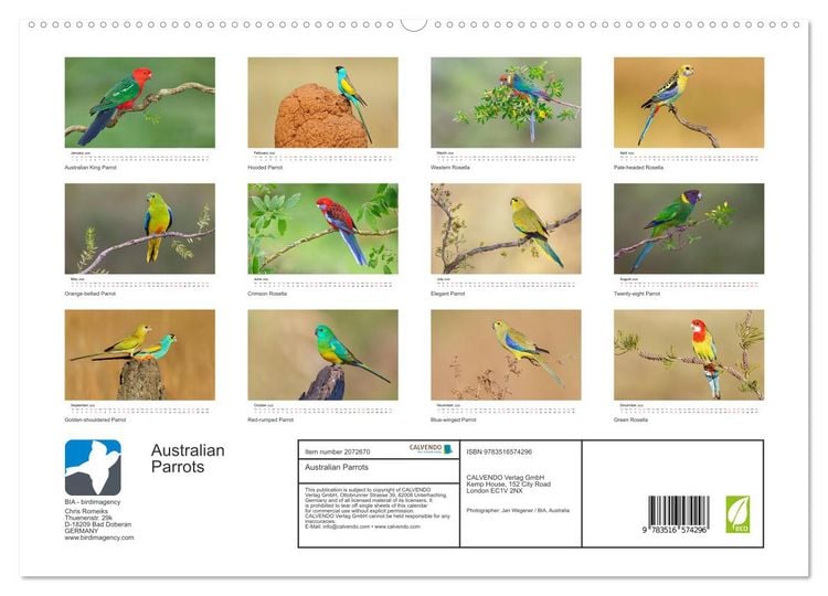 Produktbild: Australian Parrots (High Quality Premium Wall Calendar 2026 DIN A2 landscape),CALVENDO 12 Month Wall Calendar