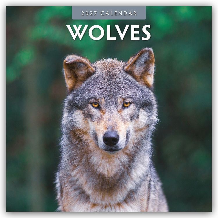 Produktbild: Wolves &ndash; W&ouml;lfe 2027 &ndash; 16-Monatskalender
