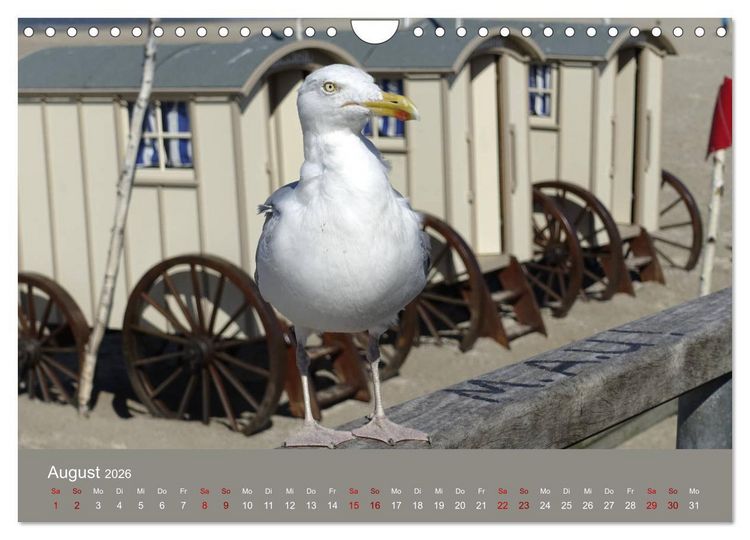 Produktbild: Norderney - Meine Trauminsel (Wandkalender 2026 DIN A4 quer), CALVENDO Monatskalender