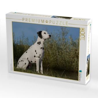 Produktbild: CALVENDO Puzzle Dalmatiner am Wasser | 1000 Teile Lege-Gr&ouml;&szlig;e 64x48cm Foto-Puzzle f&uuml;r gl&uuml;ckliche Stunden