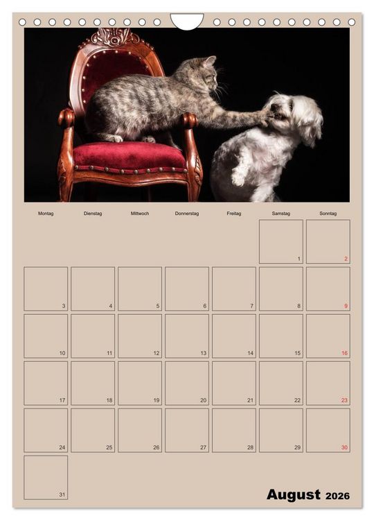 Produktbild: Mit Katzen durchs Jahr / Planer (Wandkalender 2026 DIN A4 hoch), CALVENDO Monatskalender
