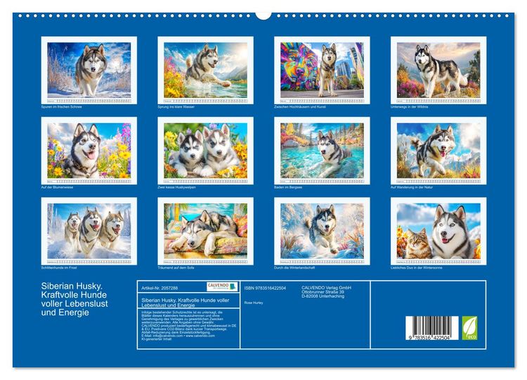 Produktbild: Siberian Husky. Kraftvolle Hunde voller Lebenslust und Energie (hochwertiger Premium Wandkalender 2026 DIN A2 quer), Kunstdruck in Hochglanz