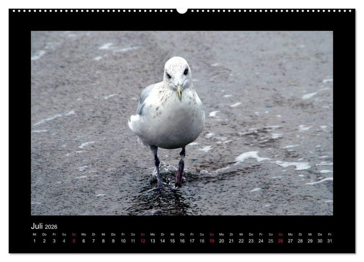 Produktbild: An der Nordsee (hochwertiger Premium Wandkalender 2026 DIN A2 quer), Kunstdruck in Hochglanz