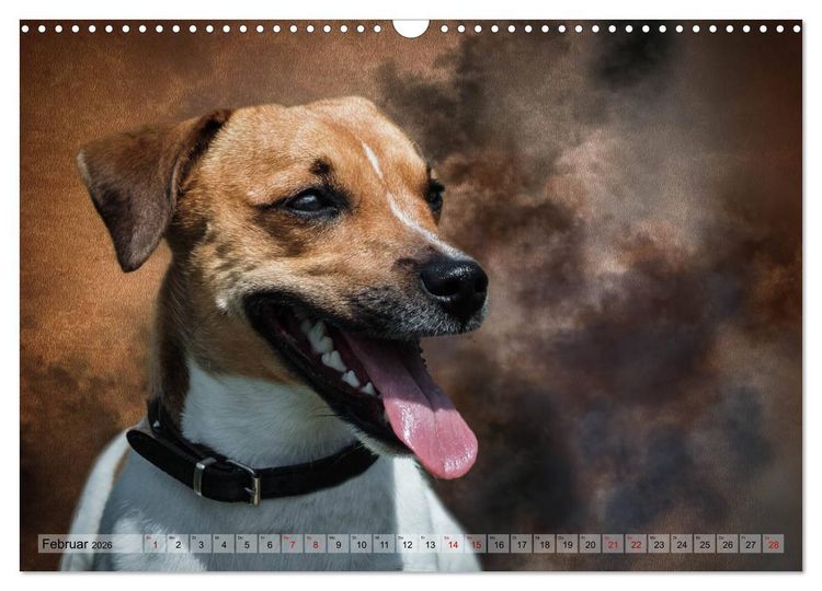 Produktbild: Jagdhunde im Portrait (Wandkalender 2026 DIN A3 quer), CALVENDO Monatskalender