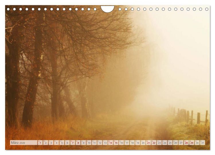 Produktbild: Natur-Paradies Mecklenburgische Schweiz (Wandkalender 2026 DIN A4 quer), CALVENDO Monatskalender