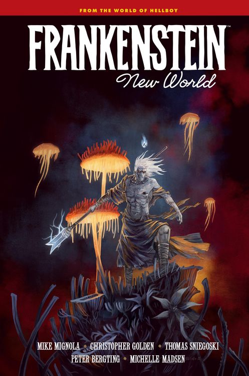 Produktbild: Frankenstein: New World