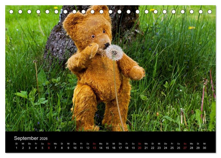 Produktbild: Teddy Basse, Fortsetzung... (Tischkalender 2026 DIN A5 quer), CALVENDO Monatskalender