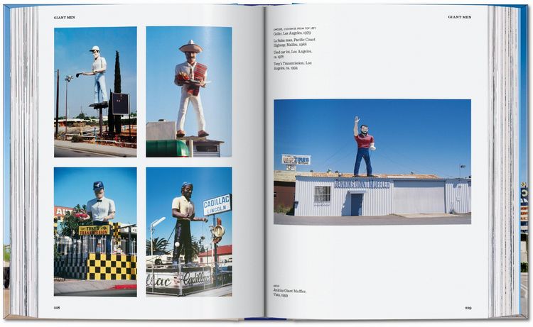 Produktbild: California Crazy