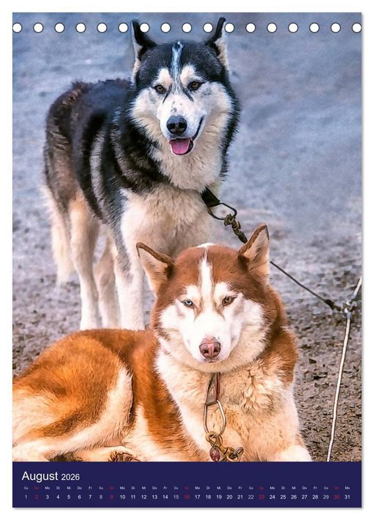 Produktbild: Huskies - Artwork (Tischkalender 2026 DIN A5 hoch), CALVENDO Monatskalender