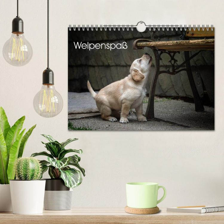 Produktbild: Welpenspa&szlig; (Wandkalender 2026 DIN A4 quer), CALVENDO Monatskalender