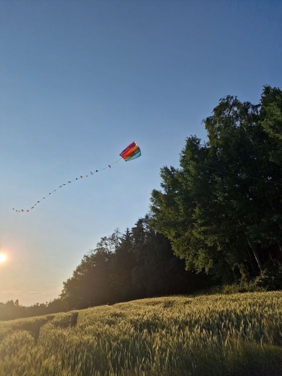 Produktbild: Paul G&uuml;nther 1173 - Pocketkite Mini Parafoil, Einleiner-Drachen ohne St&auml;be (auspacken und losfliegen), mit Schwanz, Wickelgriff, Schnur, 60x51cm