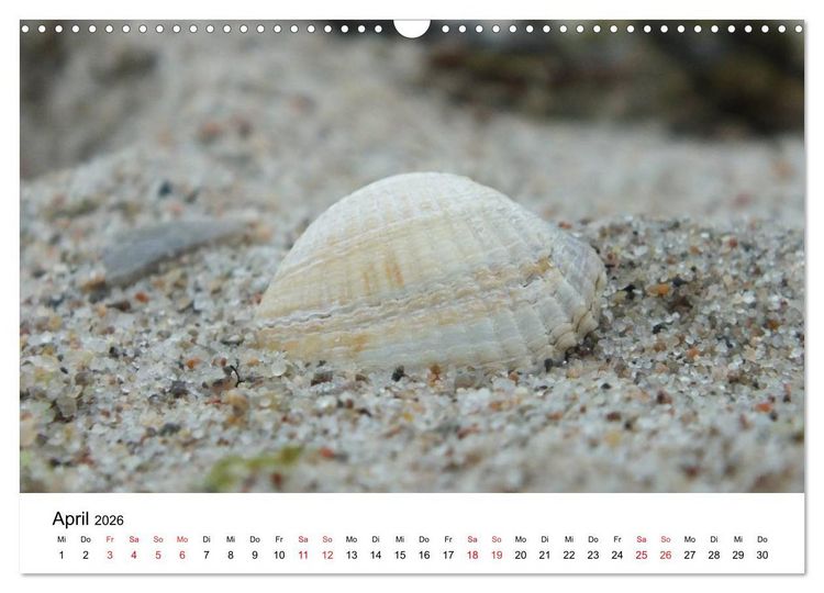 Produktbild: L&uuml;becker Bucht (Wandkalender 2026 DIN A3 quer), CALVENDO Monatskalender