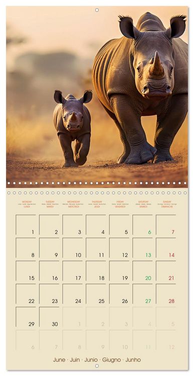 Produktbild: Let's go on Safari - Animal babies in Africa (Wall Calendar 2026 12 &times; 12 Inch) CALVENDO 12 Month Wall Calendar