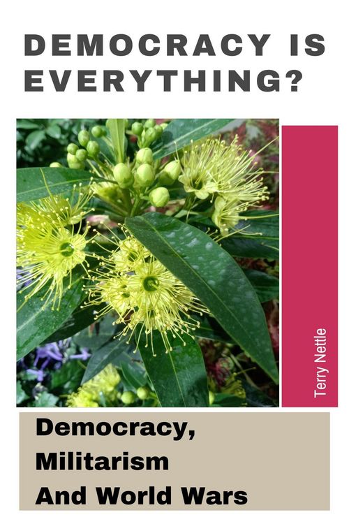Produktbild: Democracy Is Everything?: Democracy, Militarism And World Wars