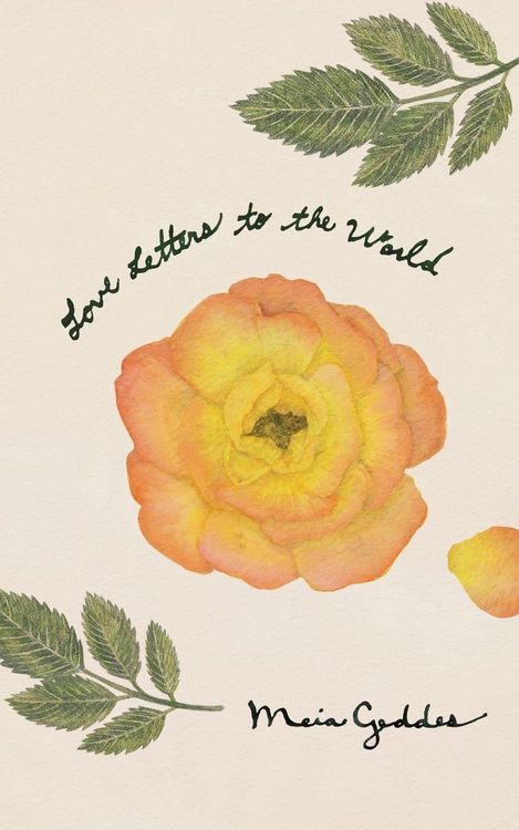 Produktbild: Love Letters to the World (Handwritten)