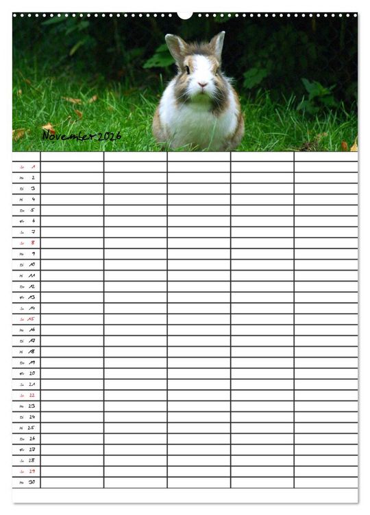 Produktbild: Meerschweinchen und Kaninchen Familienplaner (hochwertiger Premium Wandkalender 2026 DIN A2 hoch), Kunstdruck in Hochglanz