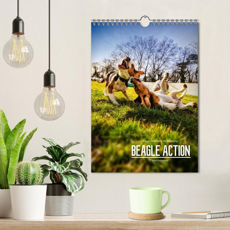 Produktbild: Beagle Action - Wilde Kuscheltiere (Wandkalender 2026 DIN A4 hoch), CALVENDO Monatskalender