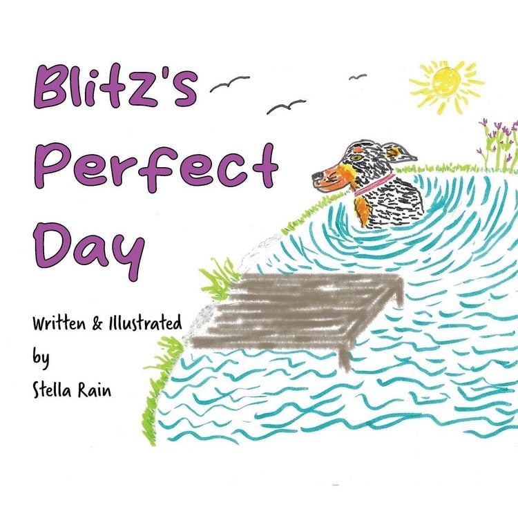 Produktbild: Blitz's Perfect Day