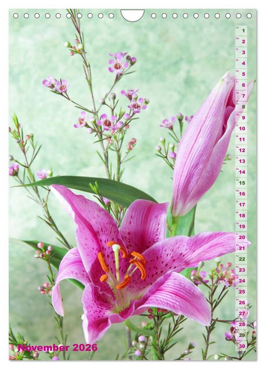 Produktbild: Lilien-Eleganz (Wandkalender 2026 DIN A4 hoch), CALVENDO Monatskalender