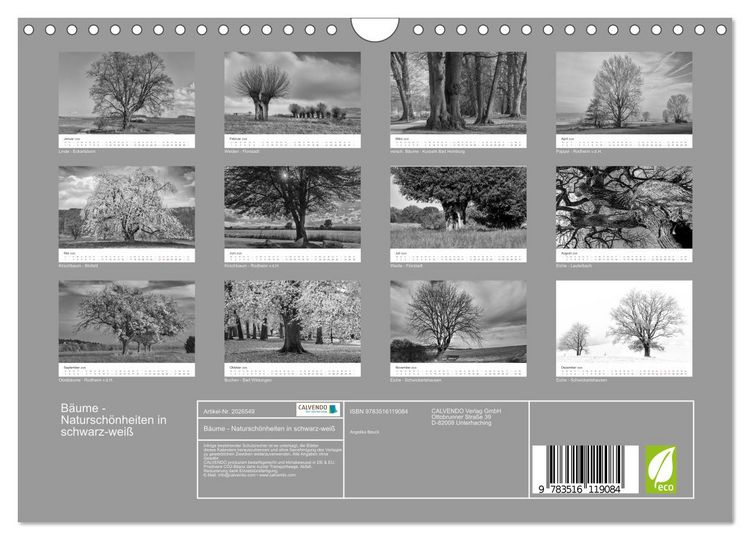Produktbild: B&auml;ume - Natursch&ouml;nheiten in schwarz-wei&szlig; (Wandkalender 2026 DIN A4 quer), CALVENDO Monatskalender