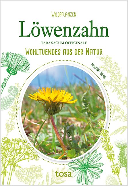 Produktbild: L&ouml;wenzahn