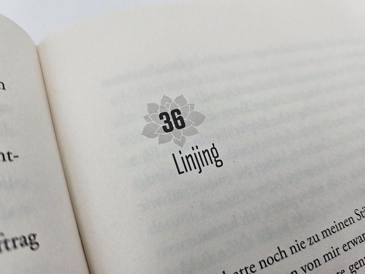 Produktbild: Die Lotosschuhe
