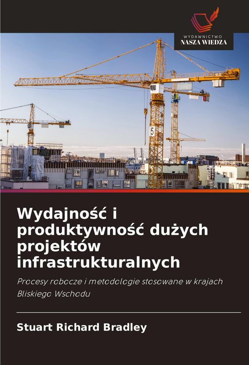 Produktbild: Wydajno&iquest;&iquest; i produktywno&iquest;&iquest; du&iquest;ych projekt&oacute;w infrastrukturalnych