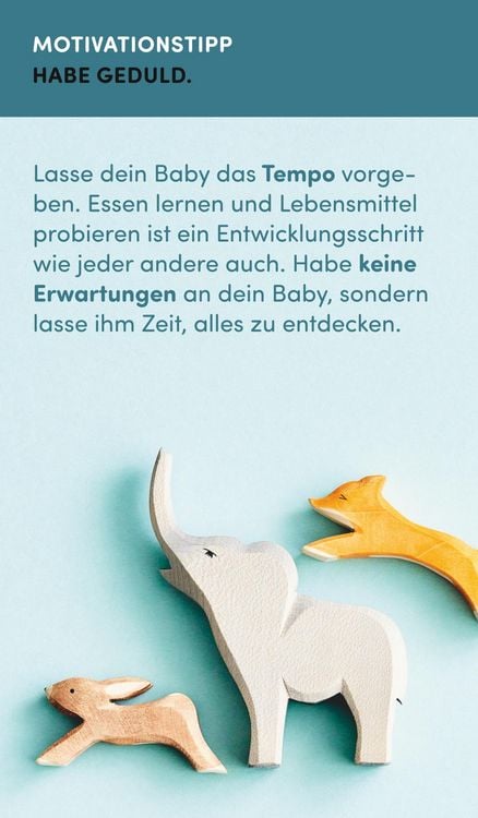 Produktbild: Die Breifrei-Box